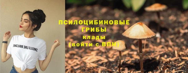 МДПВ Магадан