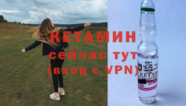 сатива Магас