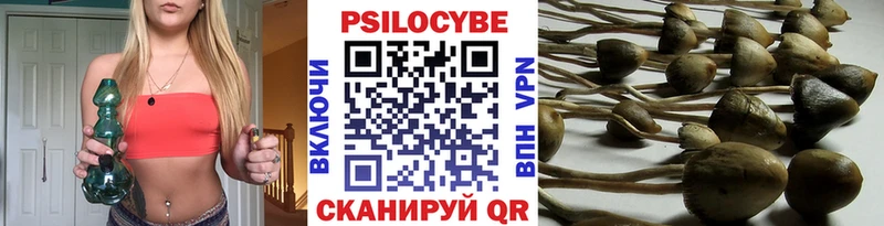 Купить где  Луховицы  Галлюциногенные грибы прущие грибы 