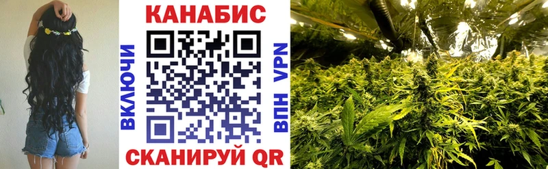 Бошки Шишки MAZAR  Купить  Луховицы 